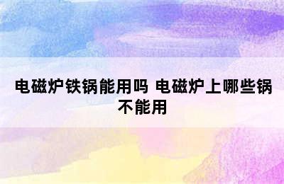 电磁炉铁锅能用吗 电磁炉上哪些锅不能用